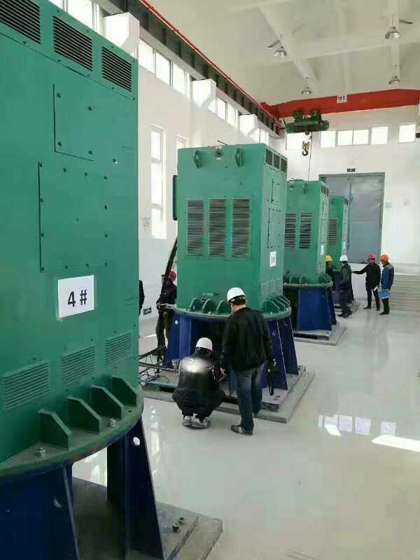 Y500-12某污水处理厂使用我厂的立式高压电机安装现场