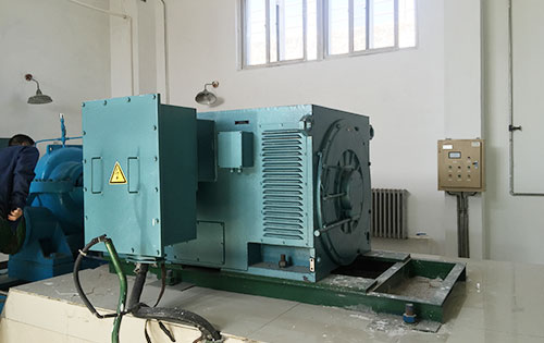 Y500-12某水电站工程主水泵使用我公司高压电机